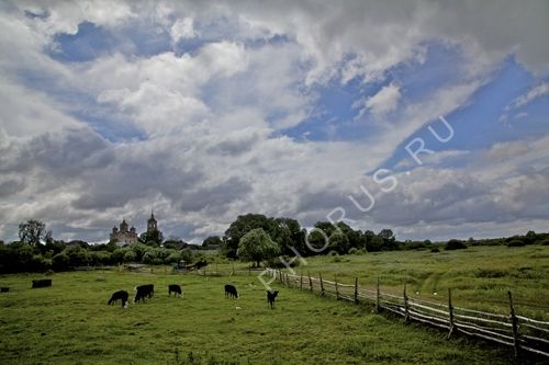IMG 8027    -