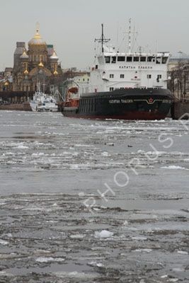 IMG 9229--