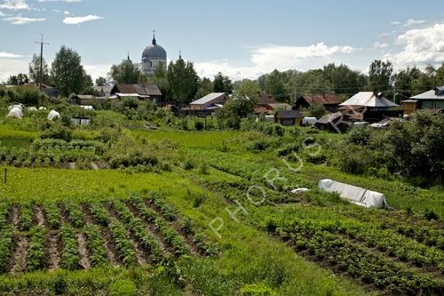 IMG 0314      -