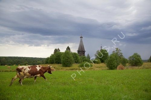 IMG 9820