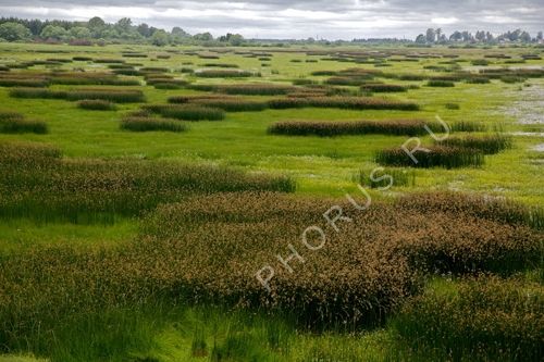 IMG 8005    -