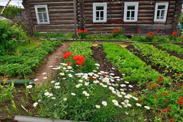Арх обл Тарасовское с-п 2020г 19