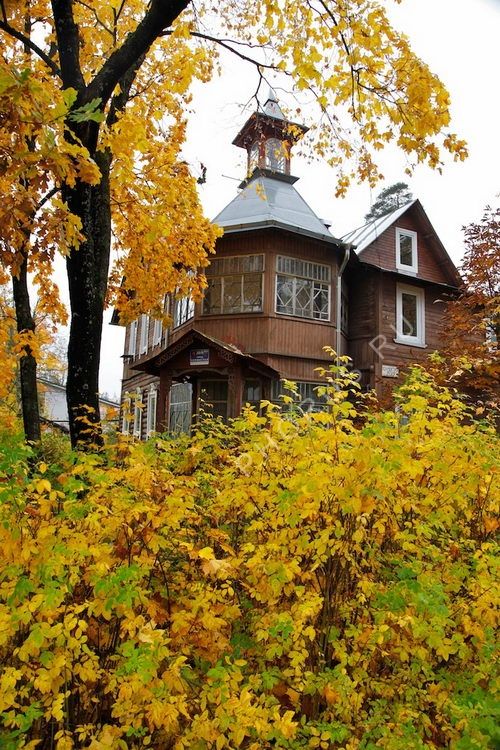 С-Пб Лисий нос Холмская 20-9 621