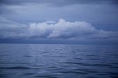 IMG 8845  