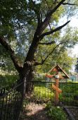 ��������-���--��������--649