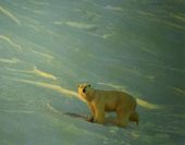 ��������� � ����������� 2 J