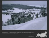 Russia bird fly64