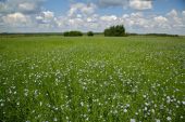 IMG 7630    -