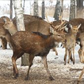 IMG 7947������