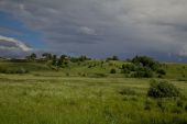 IMG 0335      -
