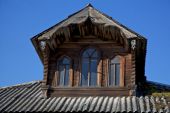 IMG 0417    -