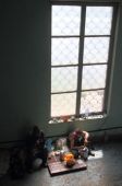 IMG 0589----