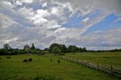 IMG 8028    -
