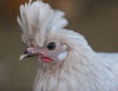 �-�-���--�����������-16-020