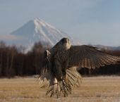 ������-��������  22-23-1049