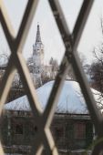 IMG 6110---001