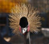 �-�-���--�����������-16-037