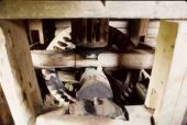 � � �������� �������� ��001
