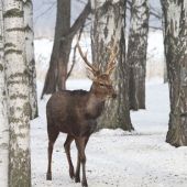 IMG 7940������