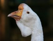 �-�-���--�����������-16-10-