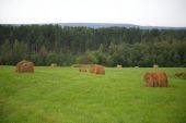 IMG 9827   