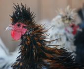 �-�-���--�����������-16-024