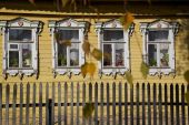 IMG 0526    -
