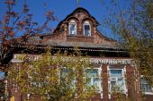 IMG 0461    -