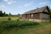 IMG 7855    -