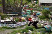 IMG 7506------