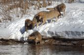 ��-���---�����--�����-��061