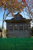 IMG 0549    -