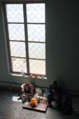 IMG 0589----