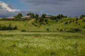 IMG 0338      -