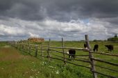 IMG 8022    -