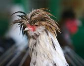 �-�-���--�����������-16-023