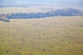IMG 0025      -
