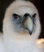 �-�-���--�����������-16-007