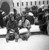 ��� 60� ������ ���� �����  --01