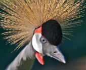 �-�-���--�����������-16-030