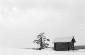 ����-�-�����-----14