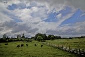 IMG 8027    -