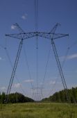 IMG 7955    -