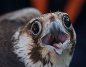 �-�-���--������-��������029