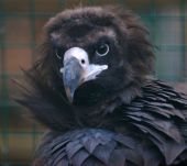 �-�-���--�����������-16-016