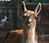 �-�-���--�����������-16-019