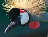 �-�-���--�����������-16-029