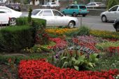 IMG 6092---