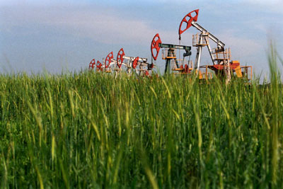 ����� ���������� ����� �005