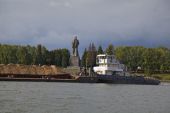IMG 9181   